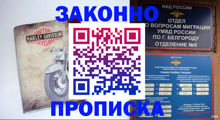 прописка для школы в Пугачёве